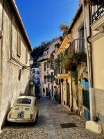 Scilla  &ndash; &copy; Alyssa Zucchini (Eberhardt TRAVEL)
