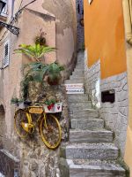 Scilla  &ndash; &copy; Alyssa Zucchini (Eberhardt TRAVEL)
