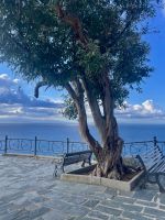 Capo Vaticano &ndash; &copy; Alyssa Zucchini (Eberhardt TRAVEL)