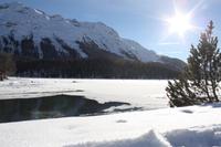 St. Moritz &ndash; &copy; Nicole Hickmann (Eberhardt TRAVEL)
