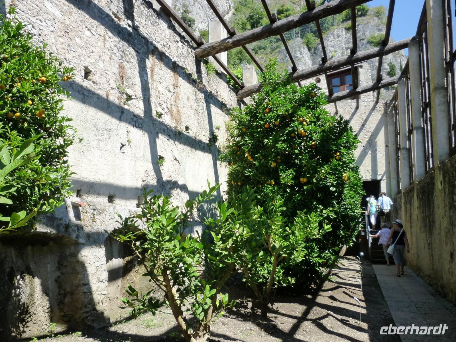 02.08.2013 Limone, Limonaia &ndash; &copy; Jutta Petzold-Herrmann (Eberhardt TRAVEL)