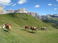 Sella &ndash; &copy; Jürgen Schmeißer (Eberhardt TRAVEL)