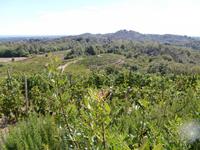 Weingut Boca Podere al Valloni &ndash; &copy; Ingrid Langer (Eberhardt TRAVEL)