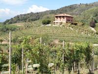 Weingut Boca Podere al Valloni &ndash; &copy; Ingrid Langer (Eberhardt TRAVEL)