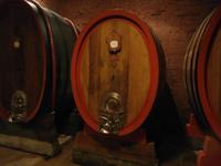 Weingut Boca Podere al Valloni &ndash; &copy; Ingrid Langer (Eberhardt TRAVEL)