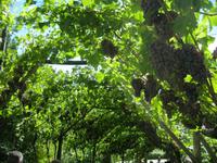 IMG_1764 &ndash; &copy; Kerstin Veit (Eberhardt TRAVEL)