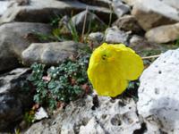 Impressionen am Lagazuoi &ndash; &copy; Betina Marinow (Eberhardt TRAVEL)