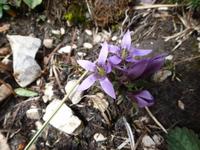 Impressionen im  Naturpark Pragsertal  &ndash; &copy; Betina Marinow (Eberhardt TRAVEL)