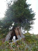 Naturpark Pragsertal  &ndash; &copy; Betina Marinow (Eberhardt TRAVEL)