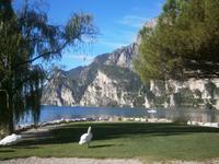 Gardasee in Riva &ndash; &copy; Gabriele Schwarze (Eberhardt TRAVEL)