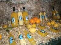 Limoncello &ndash; &copy; Gabriele Schwarze (Eberhardt TRAVEL)