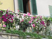 Greve &ndash; &copy; Petra Sauer (Eberhardt TRAVEL)