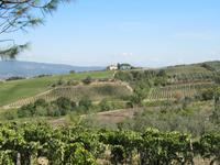 Weinverkostung beim Weinbauern Montaioncino  &ndash; &copy; Petra Sauer (Eberhardt TRAVEL)