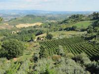 San Gimignano &ndash; &copy; Petra Sauer (Eberhardt TRAVEL)