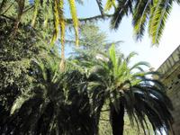Elba - Napoleon-Villa San Martino &ndash; &copy; Petra Sauer (Eberhardt TRAVEL)