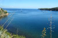 Elba &ndash; &copy; Petra Sauer (Eberhardt TRAVEL)