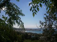 Blick auf Forio &ndash; &copy; Gabriele Schwarze (Eberhardt TRAVEL)