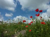 &copy; Doreen Gerlach (Eberhardt TRAVEL)