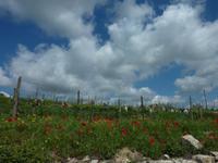 &copy; Doreen Gerlach (Eberhardt TRAVEL)