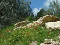 &copy; Doreen Gerlach (Eberhardt TRAVEL)