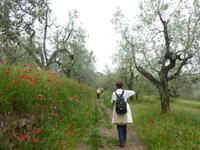 &copy; Doreen Gerlach (Eberhardt TRAVEL)