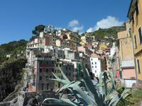 In Manarola &ndash; &copy; Doreen Gerlach (Eberhardt TRAVEL)