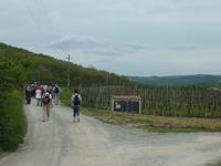 Wanderung Certaldo &ndash; &copy; Doreen Gerlach (Eberhardt TRAVEL)