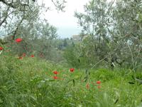 &copy; Doreen Gerlach (Eberhardt TRAVEL)