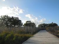 Der Weg ist das Ziel.. &ndash; &copy; Anne-Maria Friedrich (Eberhardt TRAVEL)