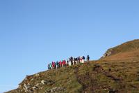 die Wandergruppe