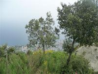 Blick auf Casamicciola 01 &ndash; &copy; Betina Marinow (Eberhardt TRAVEL)