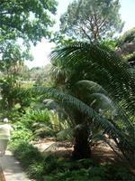 Garten La Mortella 02 &ndash; &copy; Betina Marinow (Eberhardt TRAVEL)