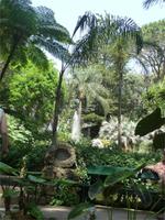 Garten La Mortella 12 &ndash; &copy; Betina Marinow (Eberhardt TRAVEL)