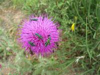 Unser Wanderweg 07 &ndash; &copy; Betina Marinow (Eberhardt TRAVEL)