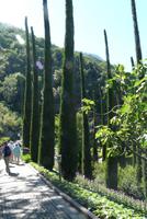 Botanischer Garten &ndash; &copy; Petra Scherbaum (Eberhardt TRAVEL)