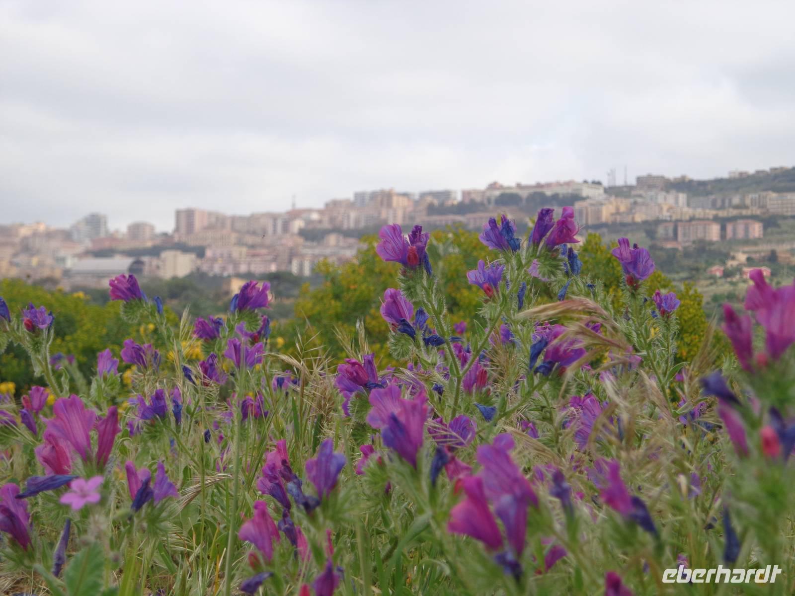 Blick nach Agrigent &ndash; &copy; Gabriele Schwarze (Eberhardt TRAVEL)