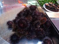 Frische Seeigel &ndash; &copy; Gabriele Schwarze (Eberhardt TRAVEL)
