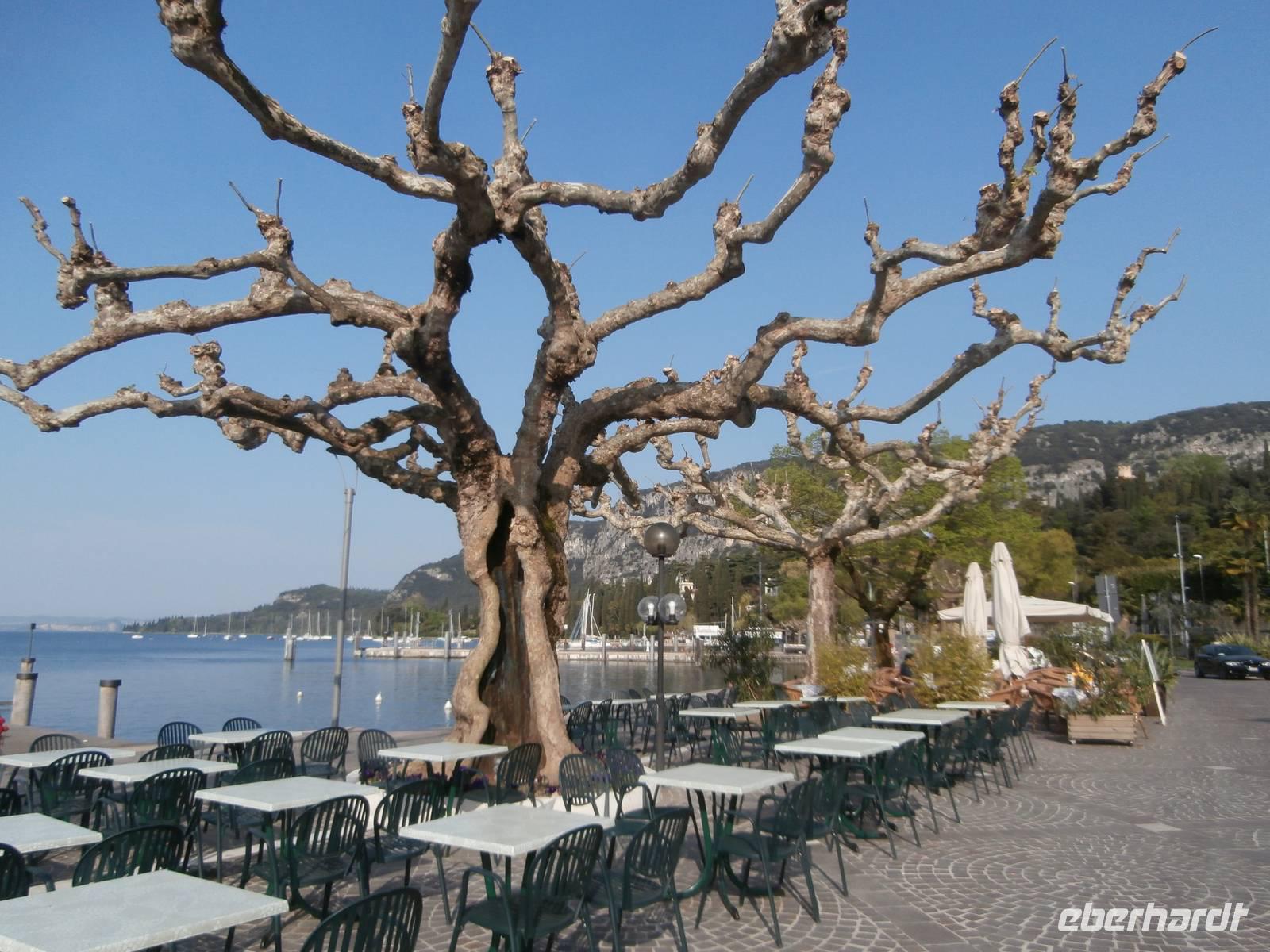 Gardasee in Garda &ndash; &copy; Ingrid Langer (Eberhardt TRAVEL)