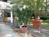 Eingang zum Hotel 