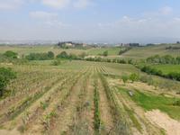  die Weite der Toscana &ndash; &copy; Adelheid Fritzsche (Eberhardt TRAVEL)