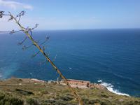 040_Zuckerhutküste &ndash; &copy; Jörg Nesse (Eberhardt TRAVEL)