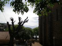 Cargese 