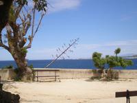 Calvi 