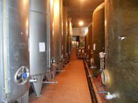 Weingut 