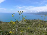 Cilentoküste nach Norden &ndash; &copy; Ria Heilmann (Eberhardt TRAVEL)
