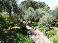 Olivengarten &ndash; &copy; Betina Marinow (Eberhardt TRAVEL)