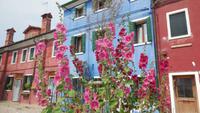 Burano &ndash; &copy; Petra Sauer (Eberhardt TRAVEL)