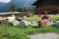 Campo Carlo Magno &ndash; &copy; Martin Jentzsch (Eberhardt TRAVEL)