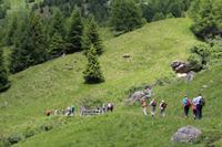 Auf den Bergen von Pejo &ndash; &copy; Martin Jentzsch (Eberhardt TRAVEL)