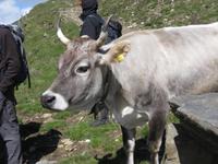 ... Na Hallo! &ndash; &copy; Annette Zocher (Eberhardt TRAVEL)